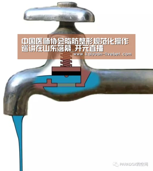 中国医师协会脂肪整形规范化操作巡讲在山东落幕_开元直播(图1) 开元直播