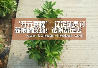 开元平台