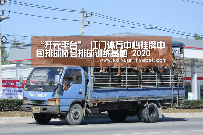 “开元平台”
江门体育中心挂牌中国排球协会排球训练基地 2020(图6) 开元赛程