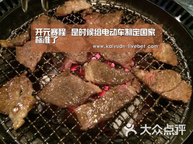 开元赛程-是时候给电动车制定国家标准了(图2) 开元直播