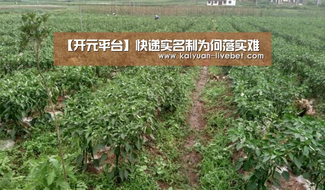 【开元平台】快递实名制为何落实难(图2) 开元赛程