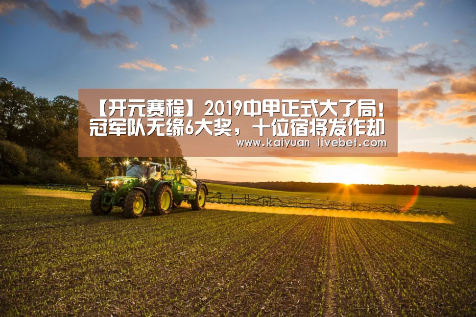 【开元赛程】2019中甲正式大了局!冠军队无缘6大奖,十位宿将发作却赚足人气(图3) 开元直播