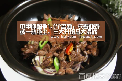 中甲冲超争1.5个名额,长春亚泰或一骑绝尘,三大升班马大混战“开元平台”(图1) 开元直播