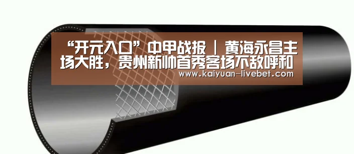 “开元入口”中甲战报 | 黄海永昌主场大胜,贵州新帅首秀客场不敌呼和浩特(图1) 开元赛程