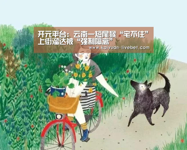 开元入口