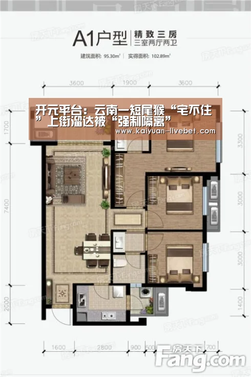 开元直播