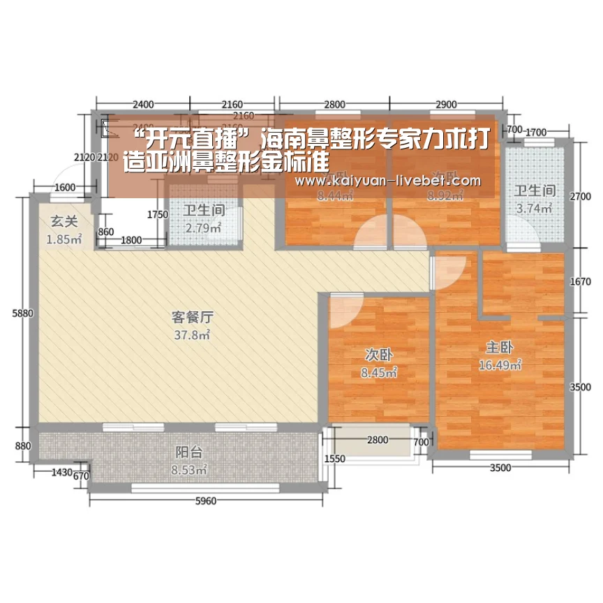 “开元直播”海南鼻整形专家力求打造亚洲鼻整形金标准(图1) 开元直播