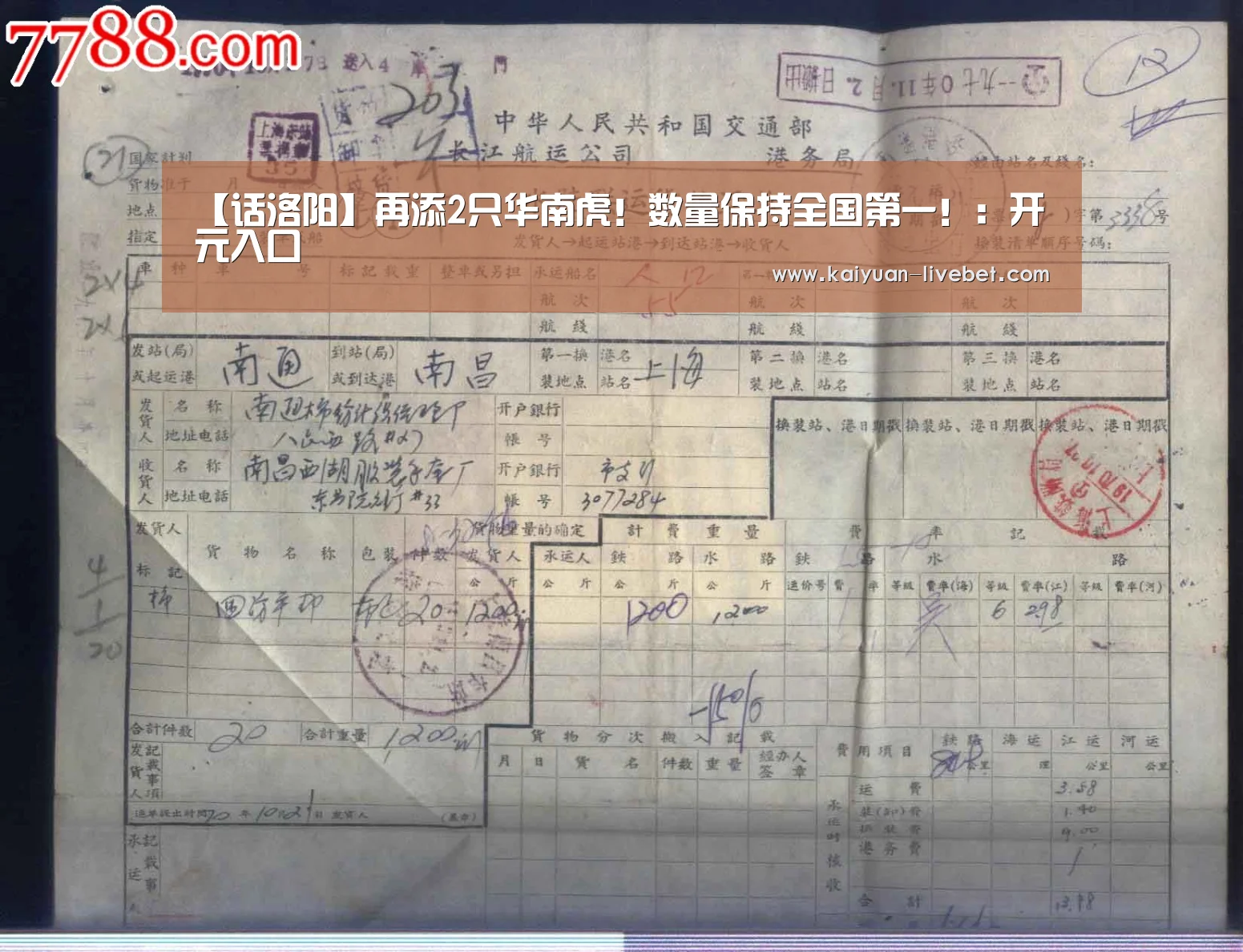 【话洛阳】再添2只华南虎!数量保持全国第一!:开元入口(图4) 开元赛程