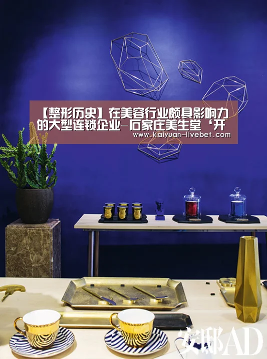 【整形历史】在美容行业颇具影响力的大型连锁企业-石家庄美生堂‘开元直播’(图3) 开元赛程