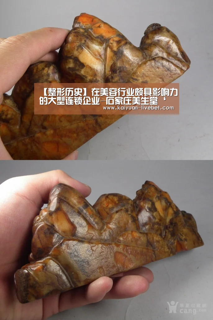 【整形历史】在美容行业颇具影响力的大型连锁企业-石家庄美生堂‘开元直播’(图1) 开元平台