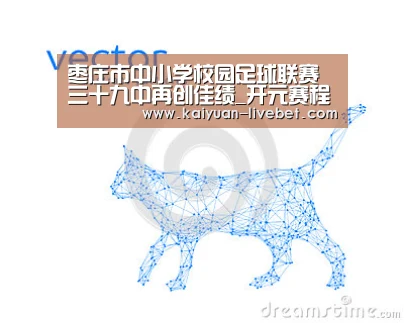 开元赛程