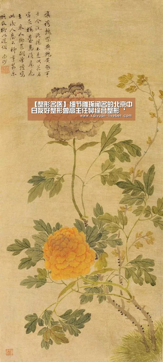 开元赛程