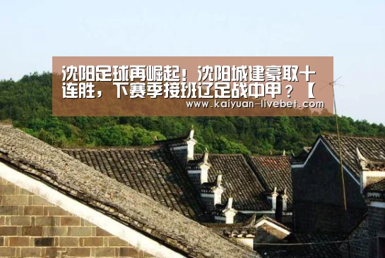 沈阳足球再崛起!沈阳城建豪取十连胜,下赛季接班辽足战中甲?【开元赛程】(图1) 开元赛程